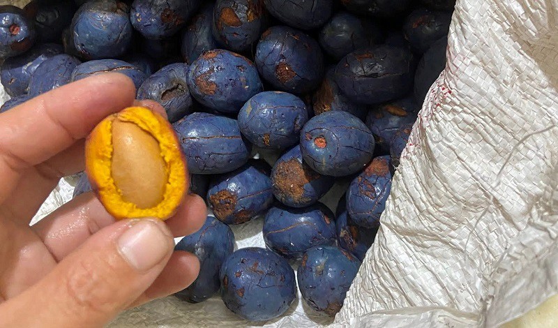 Quả cọ nếu không biết chế biến hoặc mua phải loại quả còn xanh sẽ chát không ăn được. 