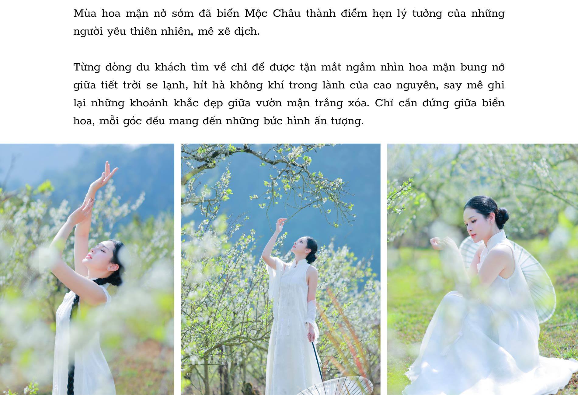 Ngỡ ngàng hoa mận trái mùa nở trắng sườn đồi Mộc Châu - 13