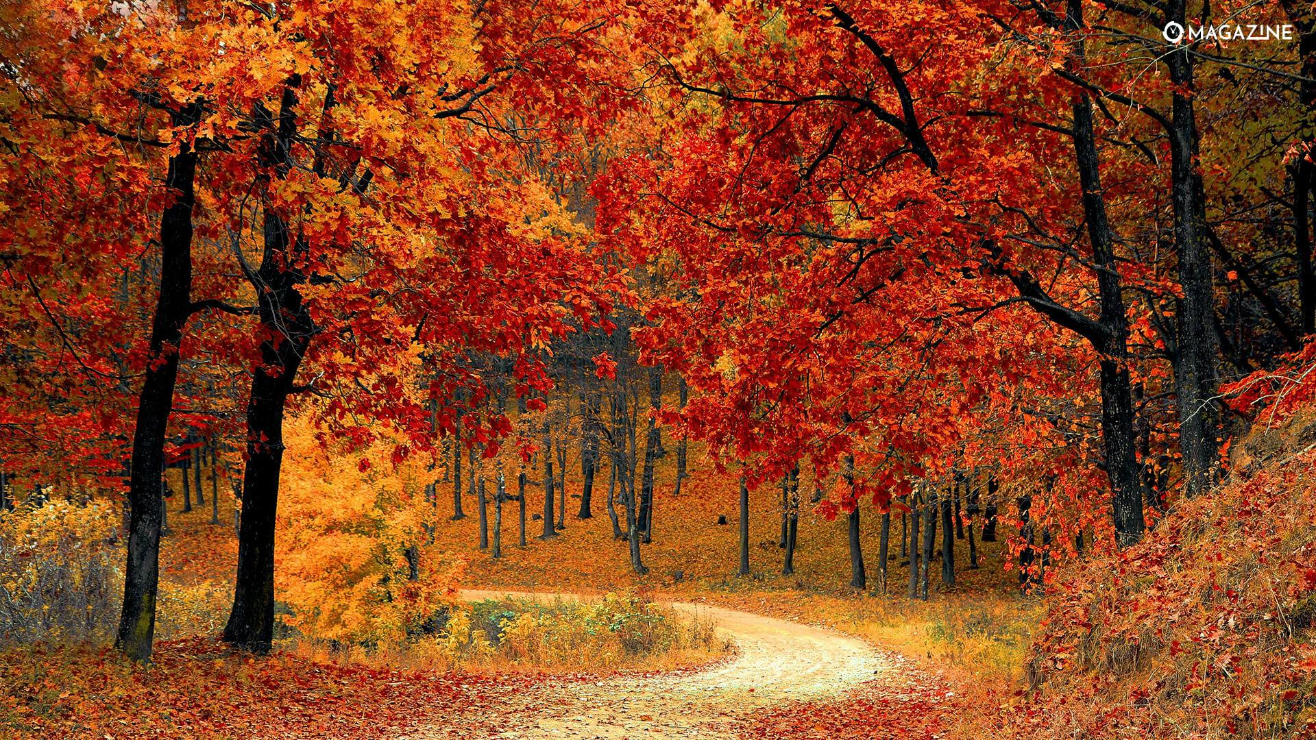 Biến lớn ở MU: Amorim có thể ra đi sớm, Sir Jim sẵn sàng ra quyết định tàn nhẫn - 7