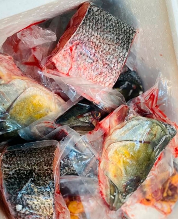 Măng sông Đà luôn được thu mua với giá cao, đặc biệt những con càng nặng thì càng đắt giá.