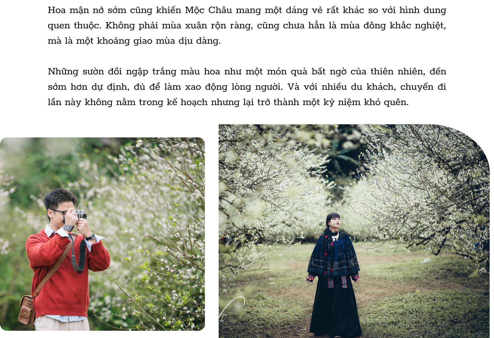 Ngỡ ngàng hoa mận trái mùa nở trắng sườn đồi Mộc Châu - 9