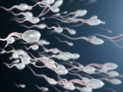 Cách cải thiện số lượng và chất lượng "tinh binh" trong mùa đông lạnh giá