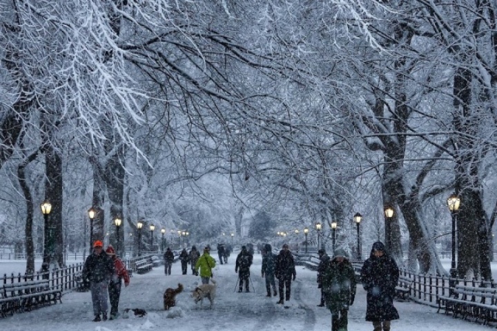 New York như 'xứ thần tiên' trong tận tuyết đầu mùa