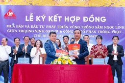 Trường Nhân: Bước tiến mới trong hành trình mang Sâm Ngọc Linh đến gần hơn với người Việt