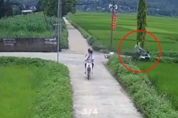 Clip: Va chạm học sinh ở ngã tư, người đàn ông xe lao thẳng xuống ruộng