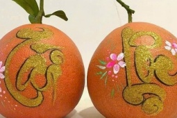 Hai triệu đồng một trái bưởi đỏ hữu cơ tiến vua dịp Tết