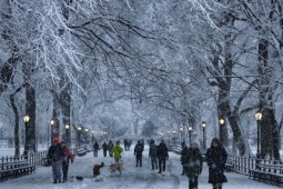 New York như 'xứ thần tiên' trong tận tuyết đầu mùa