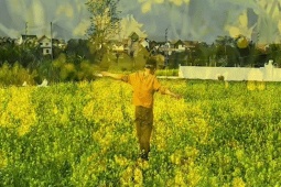 Cánh đồng hoa cải cách trung tâm Hà Nội 30km nở rộ, khách vượt xa đến check-in