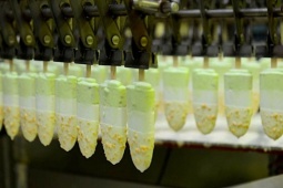 Kinh tế 24h: Kido rút toàn bộ khỏi mảng kem, dự kiến thu 2.500 tỷ đồng