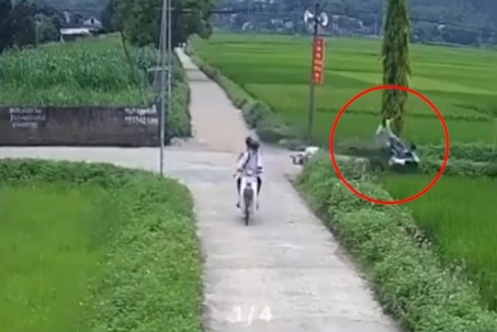Clip: Va chạm học sinh ở ngã tư, người đàn ông xe lao thẳng xuống ruộng