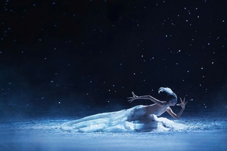 Nghệ sĩ Dương Lệ Bình sẽ đến Việt Nam tham dự họp vào tháng 1/2026