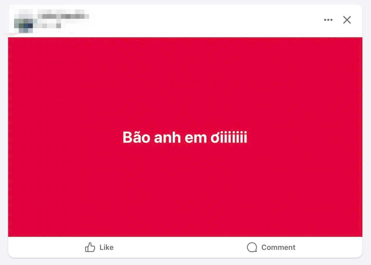 "Bão anh em ơi!".