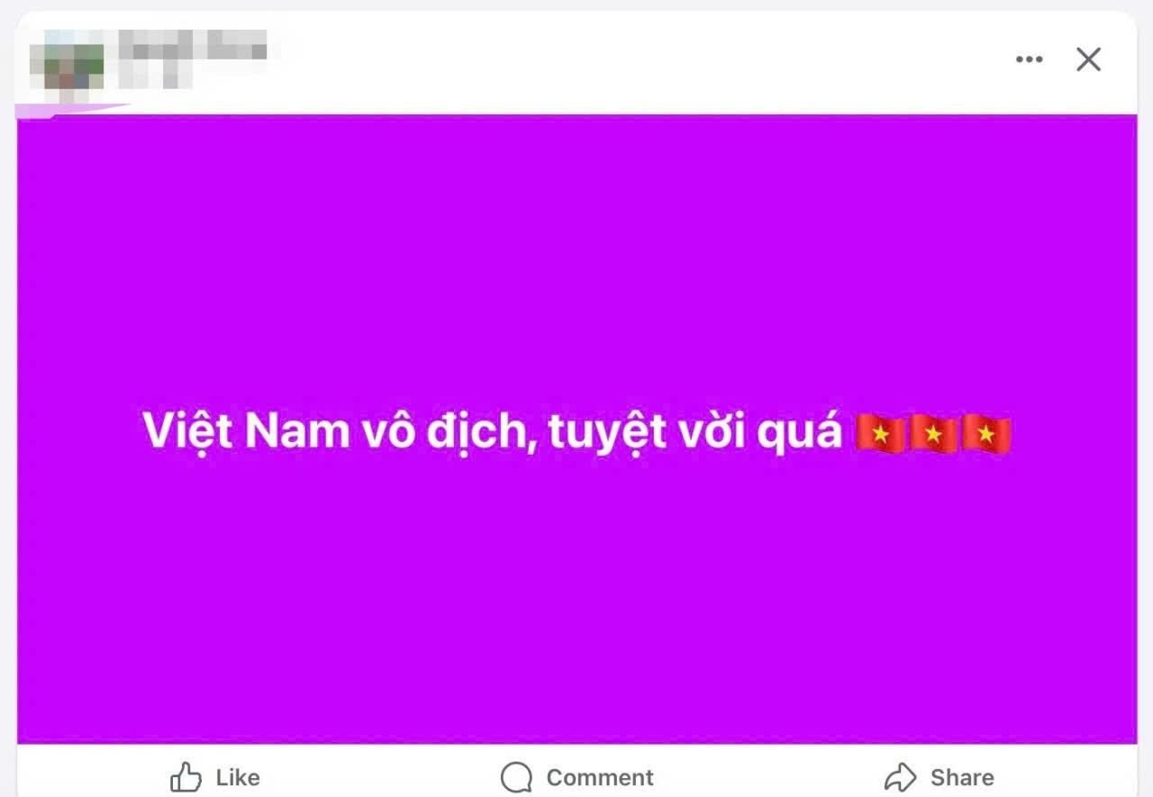 "Việt Nam vô địch, tuyệt vời quá!".