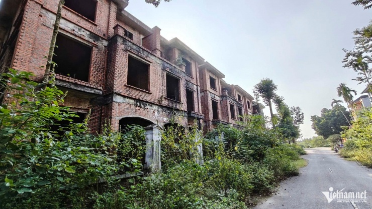 Cỏ dại mọc um tùm bao quanh các căn biệt thự bỏ hoang.