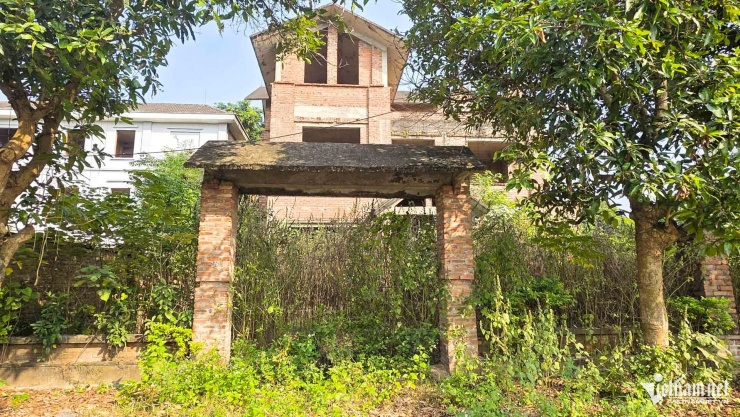 Nhiều căn nhà xuống cấp nghiêm trọng do bỏ không trong thời gian dài.