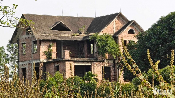 Cỏ rậm và môi trường bỏ hoang tạo điều kiện cho côn trùng sinh sôi.