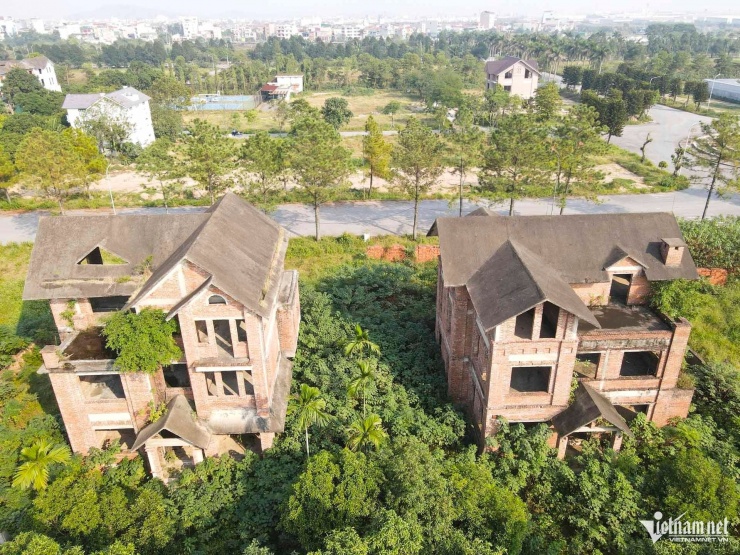 Mái nhà biệt thự bị cây dại xâm chiếm, tiềm ẩn nguy cơ mất an toàn.