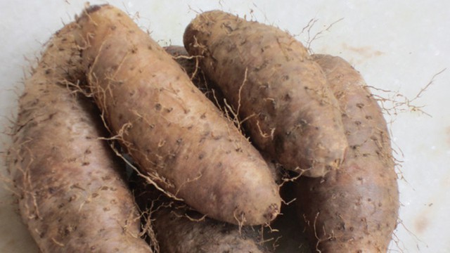Ăn loại củ này hỗ trợ chữa viêm đường hô hấp - 3