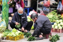 1,6 triệu người cao tuổi nhận trợ cấp từ 500.000 đồng