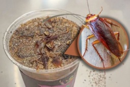 Cà phê gián gây sốc ở Trung Quốc