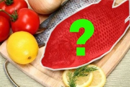 Tin tức sức khỏe - Việt Nam có 1 loại cá mệnh danh là "gà nước" đại bổ cho xương khớp