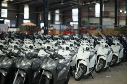 Thị trường xe máy điện 2025: Thương hiệu nào đang chiếm lợi thế?