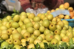 Trái cây được ca ngợi nhiều nhưng có thể gây độc với một số người