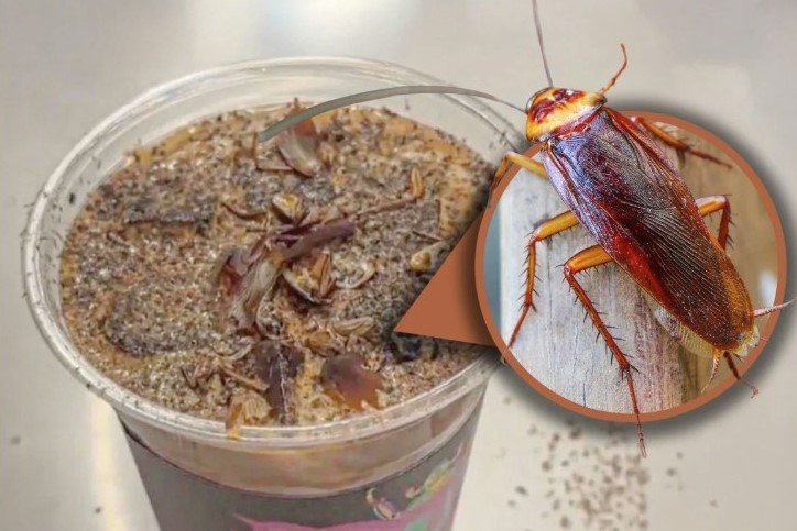 Món cà phê gián khiến nhiều người ghê sợ. Ảnh: SCMP