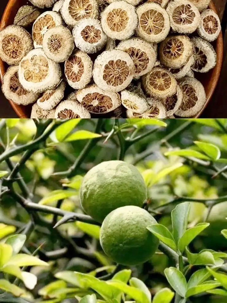 Quả dại vừa chua vừa đắng, phơi khô đem bán kiếm ngay 150.000đ/kg - 1