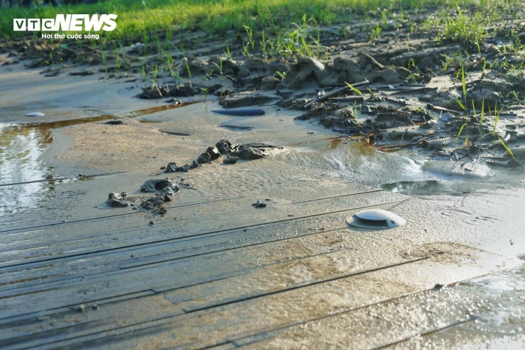 Đường lát gỗ lim siêu sang ở Huế vẫn ngập trong bùn đất sau đợt mưa lũ lịch sử - 9