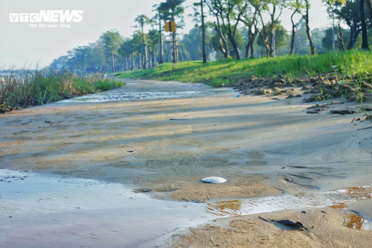 Đường lát gỗ lim siêu sang ở Huế vẫn ngập trong bùn đất sau đợt mưa lũ lịch sử - 8