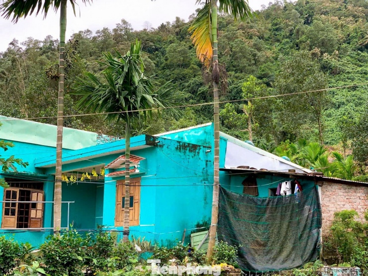 Đất sạt vào tận nhà, nhiều hộ dân Đà Nẵng không dám ngủ mỗi khi mưa lớn - 1