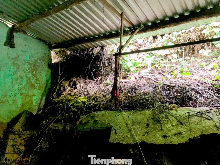 Đất sạt vào tận nhà, nhiều hộ dân Đà Nẵng không dám ngủ mỗi khi mưa lớn - 2