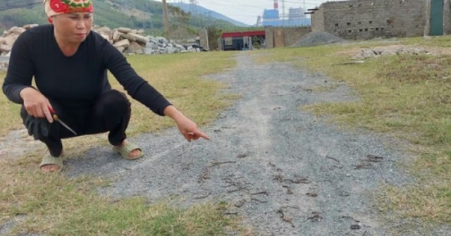 Lý giải hiện tượng kỳ lạ vừa xuất hiện ở Quảng ...