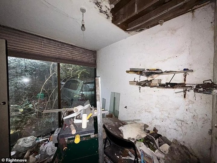 Có người còn cho rằng đây không phải là nhà mà chỉ là lô đất để đổ rác tạm bợ. (Ảnh: DailyMail)