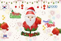 Dâu tây Hàn Quốc – Trái cây mùa đông giàu vitamin, lựa chọn lý tưởng cho Giáng Sinh và năm mới