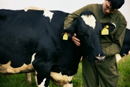 Mộc Châu Creamery - mở ra một bình minh mới cho di sản sữa ngon