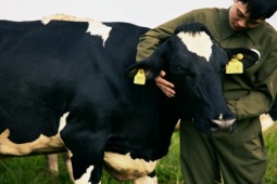 Mộc Châu Creamery - mở ra một bình minh mới cho di sản sữa ngon