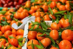 Tiểu thương bật mí bí kíp chọn cam canh chuẩn hàng Việt, nhìn đặc điểm này là biết ngay