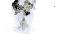 Mỹ mở đợt tấn công thứ hai vào Syria