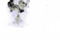 Mỹ mở đợt tấn công thứ hai vào Syria