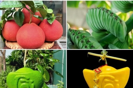 Những loại quả độc lạ chưa Tết đã hút khách