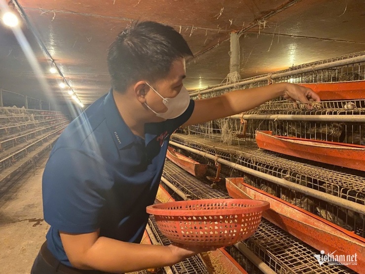 Anh Linh thu gom trứng chim cút để bán cho thương lái. Ảnh: H.S