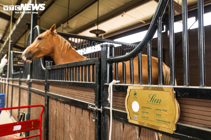 Bên trong nơi nuôi dưỡng giống ngựa triệu đô hiếm bậc nhất thế giới tại Việt Nam - 2