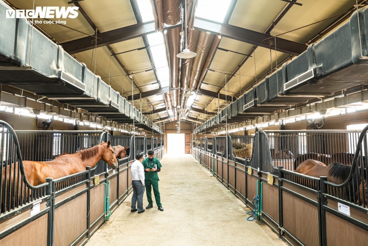 Bên trong nơi nuôi dưỡng giống ngựa triệu đô hiếm bậc nhất thế giới tại Việt Nam - 1