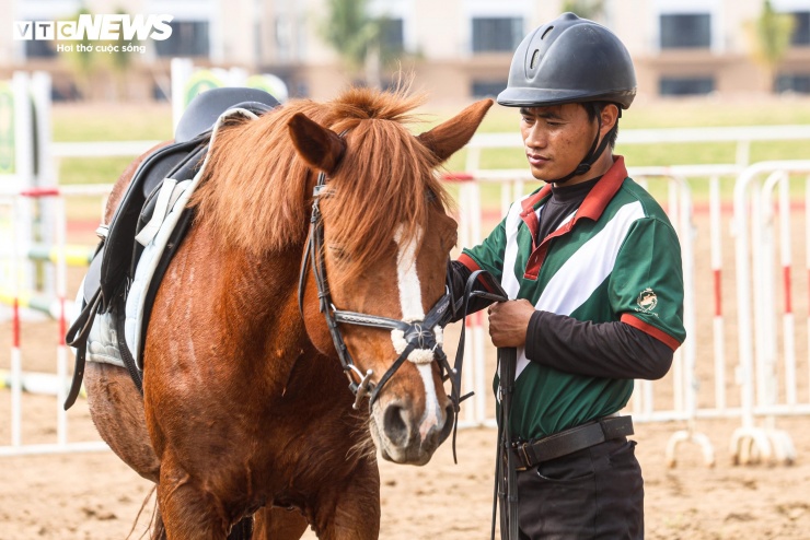 Bên trong nơi nuôi dưỡng giống ngựa triệu đô hiếm bậc nhất thế giới tại Việt Nam - 4