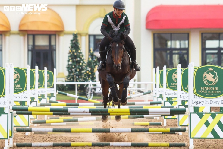 Bên trong nơi nuôi dưỡng giống ngựa triệu đô hiếm bậc nhất thế giới tại Việt Nam - 11