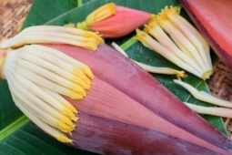 Hoa chuối có tác dụng gì?