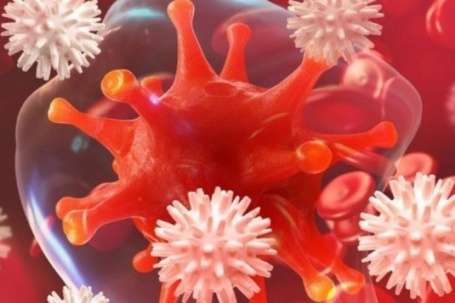 Tế bào ung thư sợ gì nhất? Hóa ra lại là việc mà nhiều người Việt thường bỏ qua