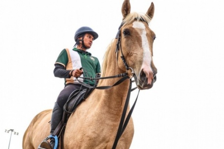 Bên trong nơi nuôi dưỡng giống ngựa triệu đô hiếm bậc nhất thế giới tại Việt Nam